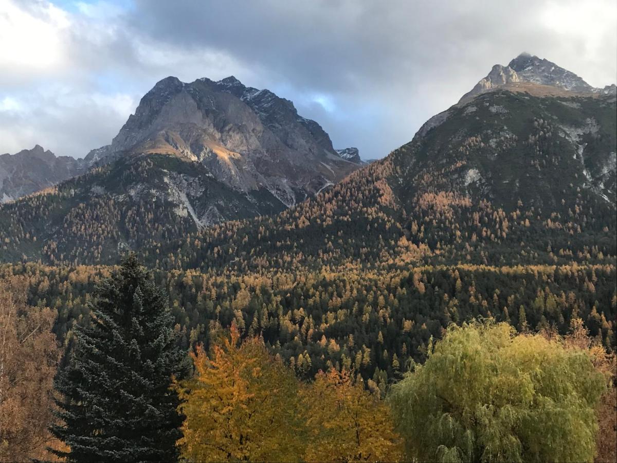 Aaa Chalet Allegra Rojo With Mountain View Скуол Екстериор снимка